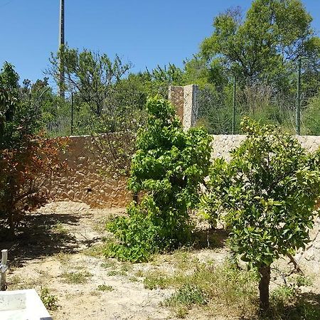 Villa V4 Filomena Albufeira Bagian luar foto